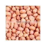 Groundnuts