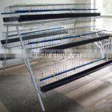 Meat Chicken Cage (Direct Factory) thumbnail-5