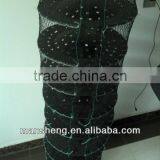 Scallop Aquaculture Trays Scallop Farming Nets thumbnail-3