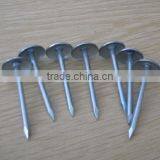 Umbrealla Nail With Roofing Head and Thread Nail Body thumbnail-6