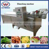 Hot Sale Factory Price Advanced Design Vegetable and Fruit Blanching Machine