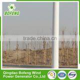 Competitive Price All Kinds of 500w Small Vertical Wind Turbine Street Lights for Sale thumbnail-4