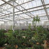 Commerical Multi-Span Greenhouse for Agriculture With UV thumbnail-4