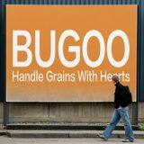 Dalian Bugoo Engineering Co., Ltd. company overview - view 1 thumbnail