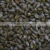 Nigella Seeds thumbnail-1