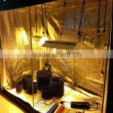 Hydroponics System 1000W Complete Grow Tent Kit/Grow Tent Kits thumbnail-1