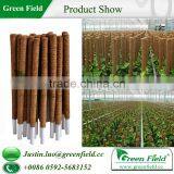 Coco Pole thumbnail-5