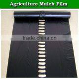 High Quality Agricultural Black Polyethylene Plastic Mulch Film for Strawberry thumbnail-2