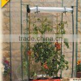 Tomato Greenhouse thumbnail-1