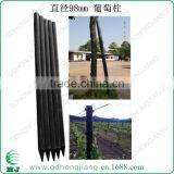 Eco Recycled Plastic Stake for Grape Shed 100mm thumbnail-2