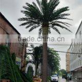 CHY020935 Guangzhou Factory Landscaping Decorative Giant Large Plam Tree thumbnail-1