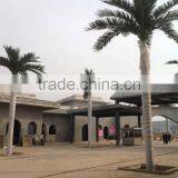 Ornamental Huge Fiberglass Palm Tree thumbnail-2