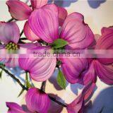 Home Garden Decoration 70cm Hight Yellow Cornus Chrysanthemum Wedding Flower EHMF03 0401 thumbnail-5