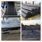 Geomembranes Type and Hdpe, 100% Vigrin Hdpe With uv Protection Material Hdpe Liner for Pond thumbnail-1