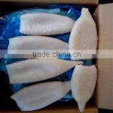 Frozen Pacific Squid Tube u5 u7 U10 thumbnail-2