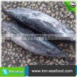 Carton or Woven Bag Packed 18 Months Shelf Life New Frozen Bonito thumbnail-4