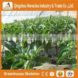 Heracles China Factory Direct Multi Span Green Houses ForAgriculture With Plastic Film on Best Price thumbnail-1