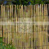 Reed Fence thumbnail-5