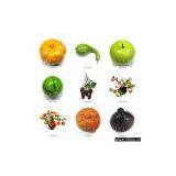 Artificial Fruit thumbnail-1