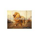 Leather Fur Lion thumbnail-1