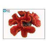 Fake Coral Natural Aquarium Decorations Fish Tank Background with Silicone and Polyresin