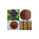 Grape Seed P.E. thumbnail-1