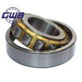 Cylindrical Roller Bearing in China