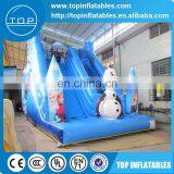 Snow and Ice World Slide,PVC Inflatable Slide thumbnail-3