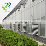 Horticultural and agricultural glass greenhouse in sale from China