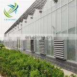 Horticultural and Agricultural Glass Greenhouse in Sale From China