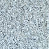 China White Grey Granite G303 thumbnail-1
