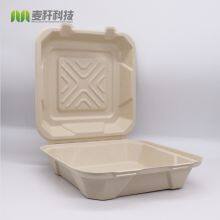 Disposable Biodegradable 9*9 3C Take Away Sugarcane Container thumbnail-4