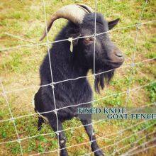 gettyimages-600699949-2048x2048