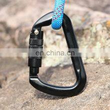 JRSGS Wholesale 30KN Outdoor Carabiner Customized Logo and Color D Shape Safety Climbing Hiking Hook Aluminum Carabiner S7112