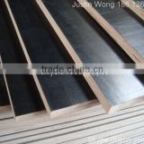 LOW PRICE GOOD QUANLITY FILM FACED PLYWOOD