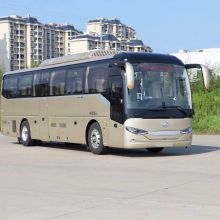 Bus and special vehicle business