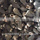 High Quality Dried Wild Morchella/Morel Mushroom From Yunnan China thumbnail-4