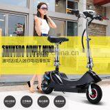 24V 250W ELECTRIC STEP SCOOTER