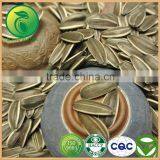 Chinese Agriculture Food Sunflower Oil Seeds thumbnail-3