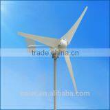 300W 12v 24vDC Micro Horizontal Axis Wind Generator