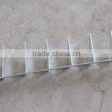 Galvanized Wall Spikes for Fence From Anping Factory