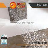 Polished Chrome 20 Inch Rain Shower Head