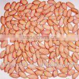 Supply Chinese Peanut Kernels Long for Sales