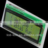 Custom COB 2 Line Lcd Display Module