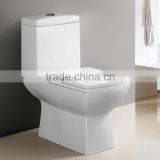 One Piece Structure and Siphon Flushing Method ceramic one piece siphonic wc toilet