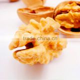 High quality raw walnuts with shell