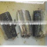 425g Canned Jack Mackerel in Brine for Sale