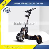 Hot sale good quality electric scooter 800W foldable EVO electric Scooter