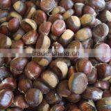 Fresh Chestnut New Crop thumbnail-1