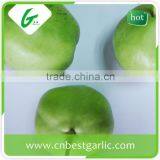Chinese Fresh Bulk su Pear thumbnail-4